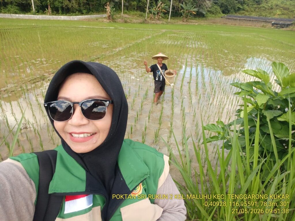 Penyaluran Pupuk Subsidi Sudah Mulai Dirasakan Kelompok Tani Maluhu