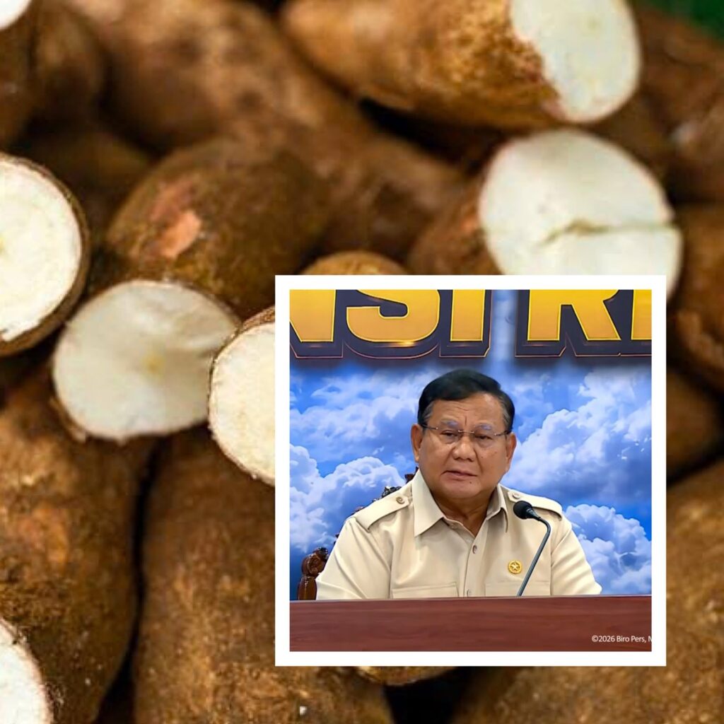 Prabowo Dorong Pengembangan Tepung Ubi untuk Atasi Karhutla
