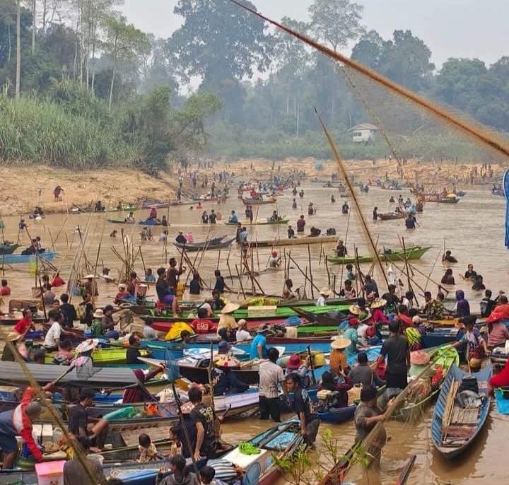 Tuba, Ikan, dan Tradisi yang Sudah Lama Hidup